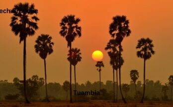 Tuambia: Challenges, Auditions, and the Journey to Success