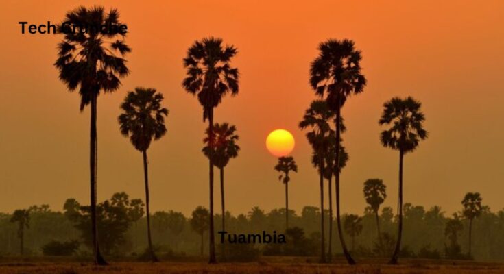 Tuambia: Challenges, Auditions, and the Journey to Success